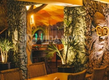 WhatsApp Image 2024-12-01 at 21.03.15