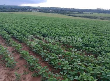 WhatsApp Image 2024-12-08 at 10.22.10 (2)