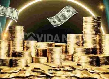 WhatsApp Image 2024-12-08 at 14.41.14