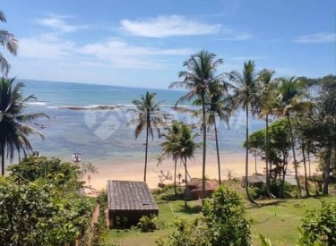 WhatsApp Image 2024-12-20 at 19.33.52