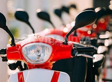 WhatsApp Image 2024-12-26 at 19.05.47