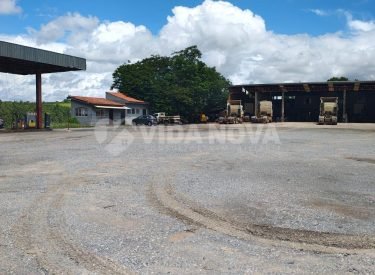 WhatsApp Image 2024-12-30 at 14.25.59 (3)