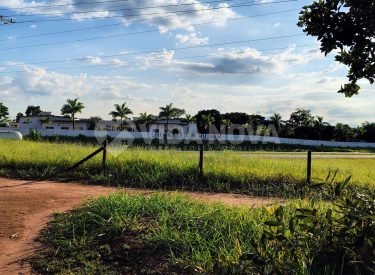 WhatsApp Image 2025-02-09 at 05.18.14