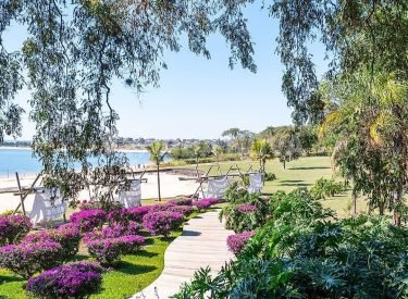 WhatsApp Image 2025-02-11 at 06.58.32