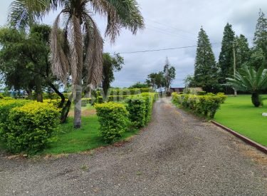 WhatsApp Image 2025-02-21 at 15.09.45