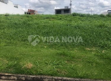 WhatsApp Image 2025-02-22 at 10.12.57