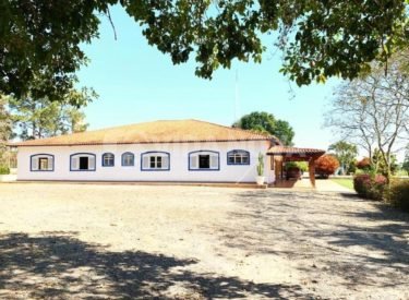 WhatsApp Image 2025-02-28 at 14.45.49