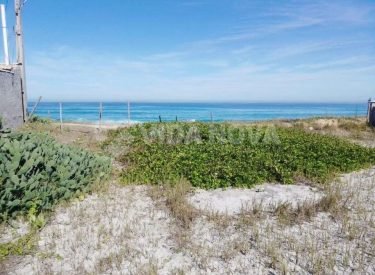 WhatsApp Image 2025-03-02 at 17.51.56