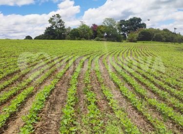 WhatsApp Image 2025-03-04 at 09.29.30