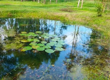 WhatsApp Image 2025-03-15 at 10.45.38 (1)