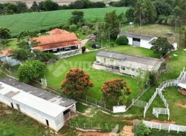 WhatsApp Image 2025-03-19 at 13.58.25 (1)