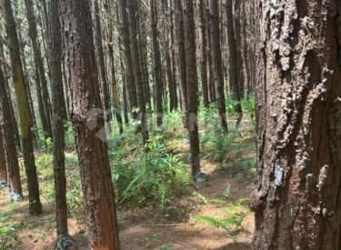 WhatsApp Image 2025-03-21 at 15.02.07 (1)