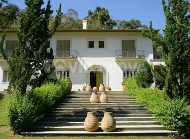 WhatsApp Image 2025-03-22 at 05.53.48 (1)