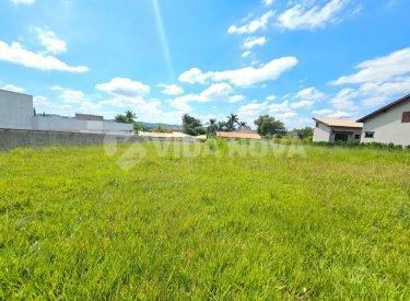 WhatsApp Image 2025-04-01 at 13.03.51