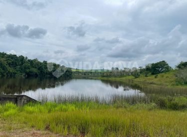 WhatsApp Image 2025-04-04 at 12.27.20 (1)