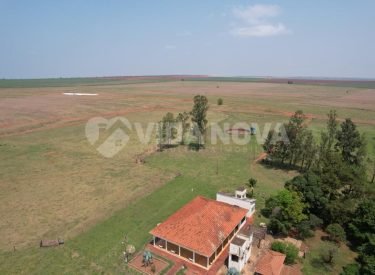 WhatsApp Image 2025-04-07 at 12.51.43 (1)