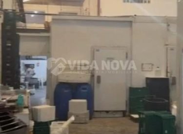 WhatsApp Image 2025-04-12 at 20.46.10