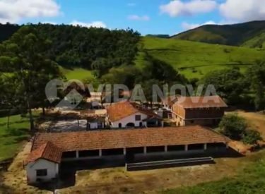 WhatsApp Image 2025-04-16 at 16.42.18