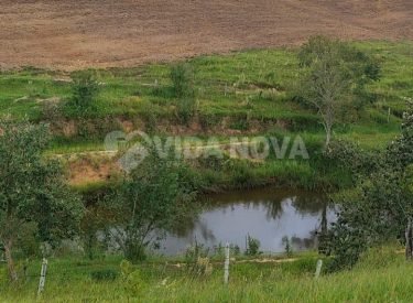 WhatsApp Image 2025-04-26 at 12.18.28 (1)