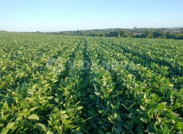 WhatsApp Image 2025-04-29 at 15.47.15 (1)