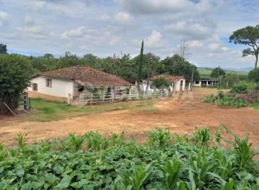 WhatsApp Image 2025-05-06 at 06.13.46