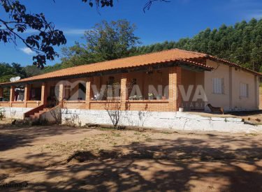 WhatsApp Image 2025-06-03 at 18.04.31 (1)