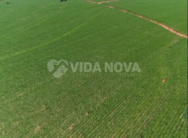 WhatsApp Image 2025-06-18 at 10.00.08 (1)