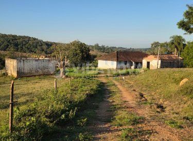 WhatsApp Image 2025-06-27 at 15.03.51 (1)