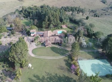 WhatsApp Image 2025-07-11 at 17.20.44