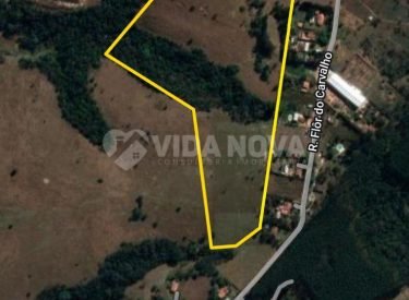 WhatsApp Image 2025-07-15 at 07.12.18