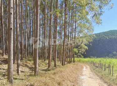 WhatsApp Image 2025-07-17 at 18.29.12 (1)