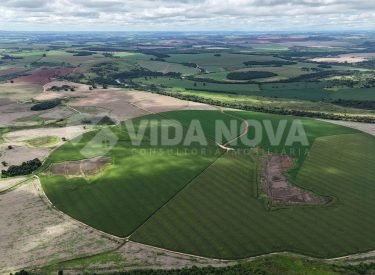 WhatsApp Image 2025-07-24 at 07.19.55 (3)