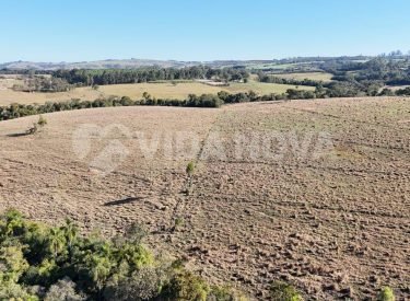 WhatsApp Image 2025-08-01 at 13.12.35