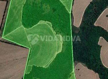 WhatsApp Image 2025-08-03 at 07.05.53