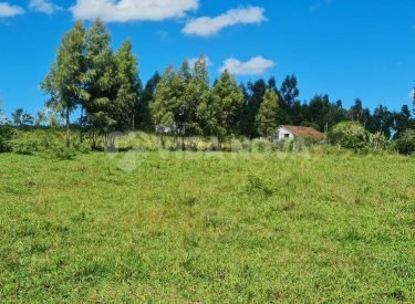 WhatsApp Image 2025-08-04 at 11.17.51