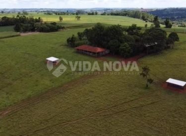 WhatsApp Image 2025-08-05 at 11.25.36 (3)