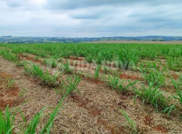 WhatsApp Image 2025-08-06 at 12.34.16 (1)