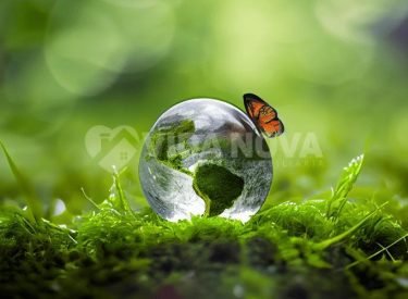 WhatsApp Image 2025-08-10 at 18.01.37