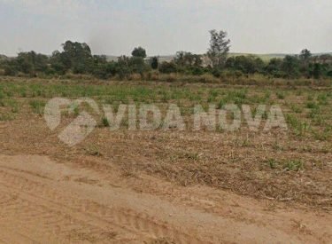 WhatsApp Image 2025-08-20 at 16.36.40 (1)