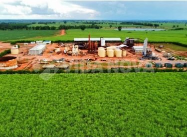 WhatsApp Image 2025-08-22 at 17.23.01 (1)