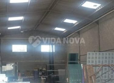 WhatsApp Image 2025-08-29 at 14.09.13