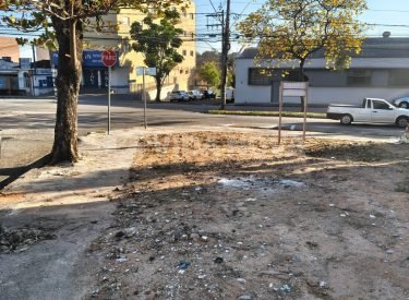 WhatsApp Image 2025-09-01 at 10.03.52 (1)