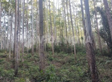 WhatsApp Image 2025-09-01 at 12.09.52