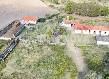 WhatsApp Image 2025-09-03 at 06.14.02