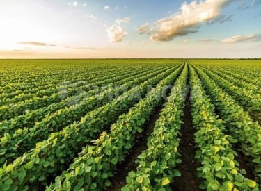 WhatsApp Image 2025-09-05 at 13.56.35 (1)