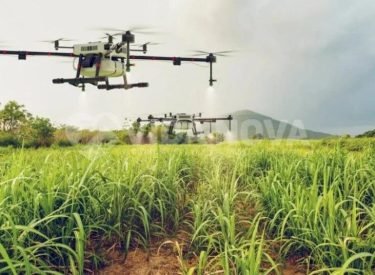 WhatsApp Image 2025-09-07 at 17.48.27