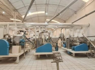 WhatsApp Image 2025-09-07 at 17.57.35