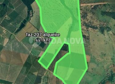 WhatsApp Image 2025-09-08 at 08.29.51