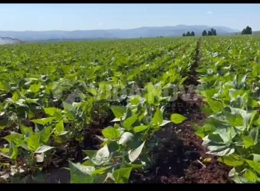 WhatsApp Image 2025-09-10 at 20.03.33