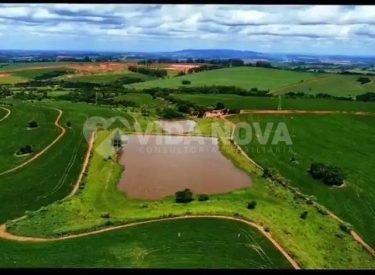 WhatsApp Image 2025-09-14 at 09.03.39 (3)